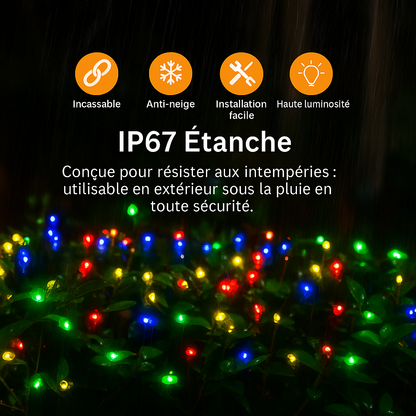 Guirlande LED Extérieure